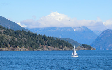 Naklejka premium Beautiful landscape with yacht