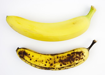 Two bananas-ripe and too ripe. White background. Horizontal.
