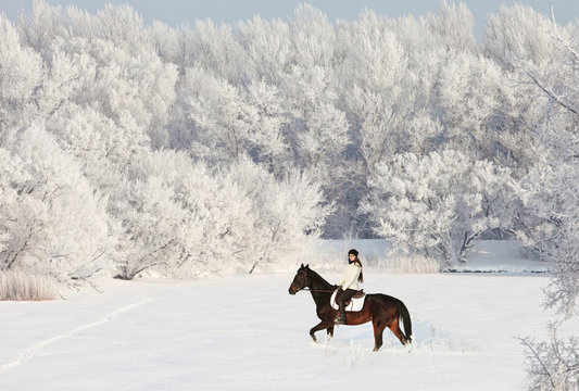 Beautiful model girl riding horseback  in winter 
