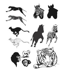 Vector Silhouette ( Zebra, Tiger, Monkey, Gorilla, Heyna, Leopard )