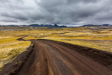 View at Icelandic plains during summertime