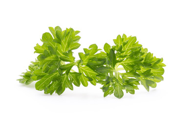 Parsley herb isolated on white background.