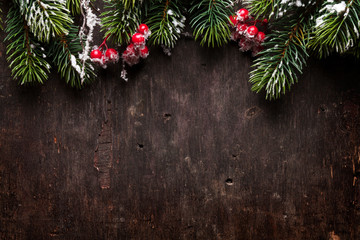 Fototapeta na wymiar Christmas fir tree and holly berry