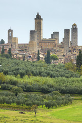 Fototapeta na wymiar big towers of old city in Tuscany in Italy