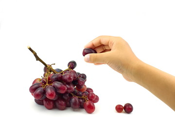 Children's hand picked the bunch of small red grapes isolate on