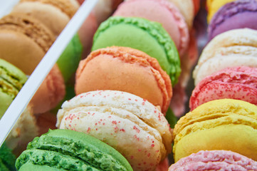 Colorful french macaroons in a box