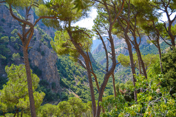 Ouadi Qadisha (the Holy Valley) Lebanon