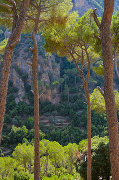 Ouadi Qadisha (the Holy Valley) Lebanon