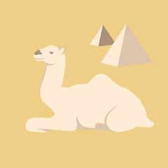 Camel lie vector illustration style Flat