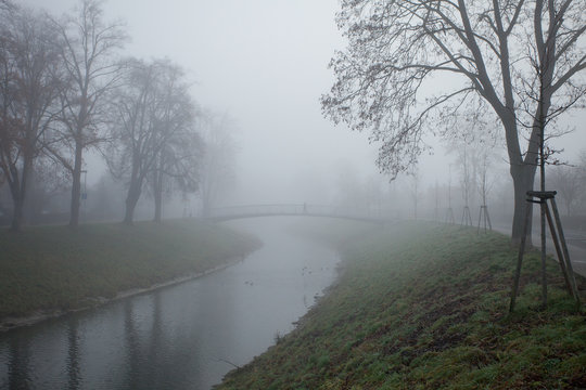 Winter tree and bridge in fog