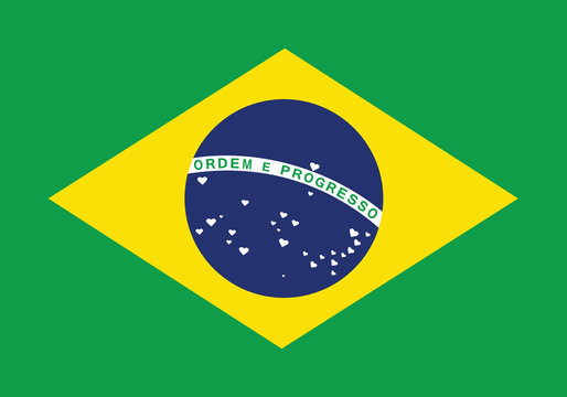 Brazil Love Flag