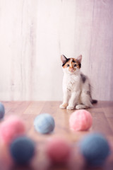Little cat playing with wool toys