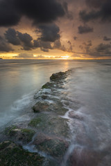 Fototapeta premium The light path to the sunset, moss over the rocks and a beach