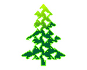 Obraz premium pine, fir
