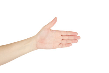Hand of women on a white background. Isolated.