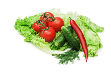 Tomato, cucumber and cayenne pepper isolated