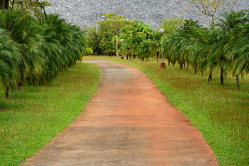 Country cottage garden path.