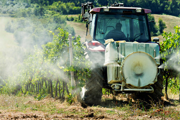 Naklejka premium tractor spraying weed killer in a vineyard