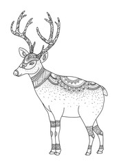 Merry Christmas from vector.Reindeer on white background.Merry Christmas in 2016.Reindeer tangle 
for coloring.