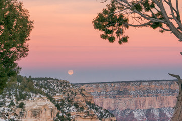 Moonset masquerading as sunset in predawn view of the Grand Canyon