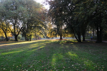 Herbststimmung im Park