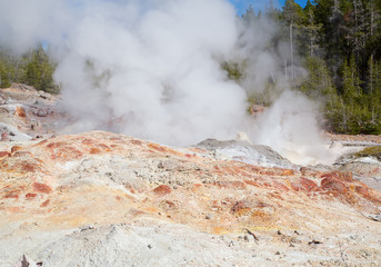 Norris geyser basin