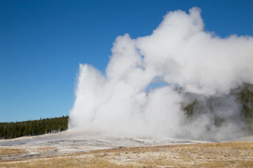 Geyser
