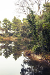 Idyllic landscape