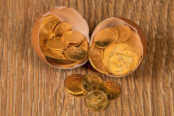 Pure gold coins in egg shell illustrating nest egg