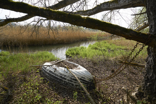 Boot unter Pappel