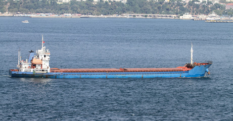 Cargo Ship in Sea