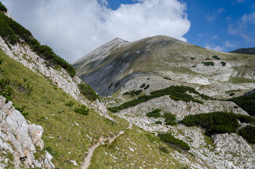 Fototapeta na wymiar Trail path in Pirin mountain, Bulgaria