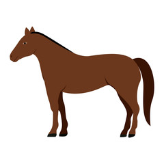 silhouette colorful with brown horse vector illustration
