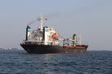 Naklejka premium Cargo Ship in Sea