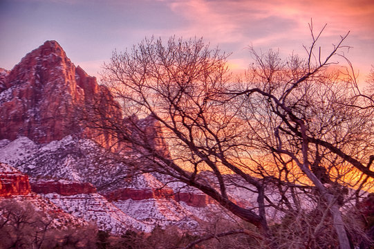 Alpenglow paints the landscape in Zion National Park