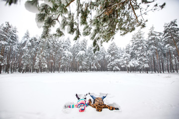 Winter travel, couple on snowy forest background