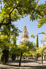 Bell Tower of the Mezquita Cathedral, Cordoba, Spain
