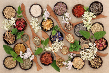 Herbal Medicine Selection