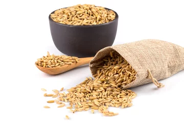 Fototapeten bowl of organic oat grains © romantsubin