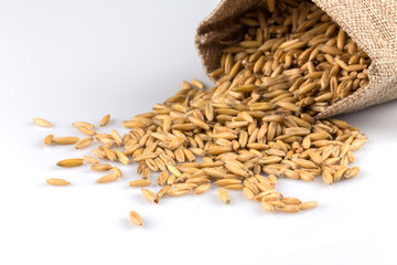 bowl of organic oat grains