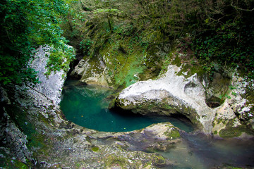Mountain river in the middle of green forest, stones covered with moss. 