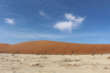 Namib Sossusvlei