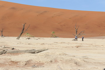 Namib Sossusvlei