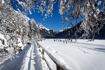 Winter landscape and winter forest near Antholz Lake, South Tirol, Italy.
