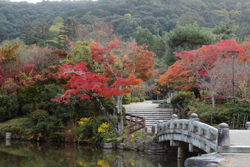 Fototapeta na wymiar 京都　円山公園の紅葉