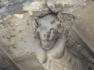 statua che sorregge un balcone  barocco con due nidi di rondine che le ornano lateralmente i capelli in Sicilia © lucia