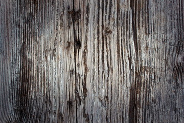 Fototapeta premium interesting real spruce textured panel