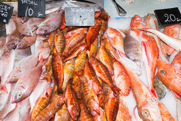Fresh fish variety for sale at fishmarket, Palma, Mallorca