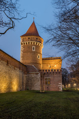 Fototapeta na wymiar Krakow, Poland, city walls with Carpenters Tower and Arsenal