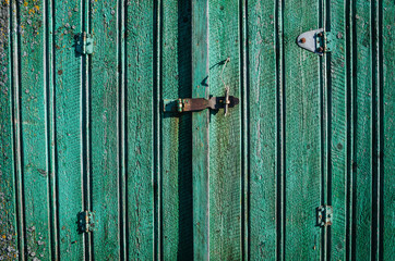 Green shabby rusty dirty old weathered aged wooden planks barn door closeup background texture